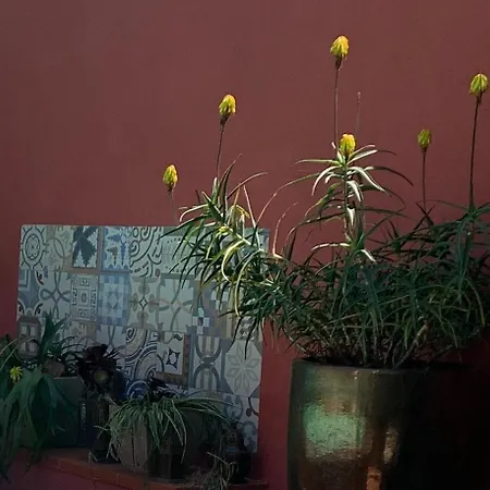 Casa de Férias Y Sem Be